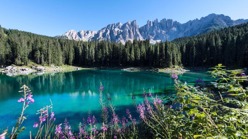 Wanderwochen auf der Alm